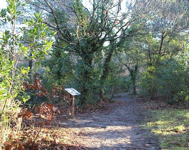Forest discovery trail <strong>Offer</strong> educational Dune du Pilat