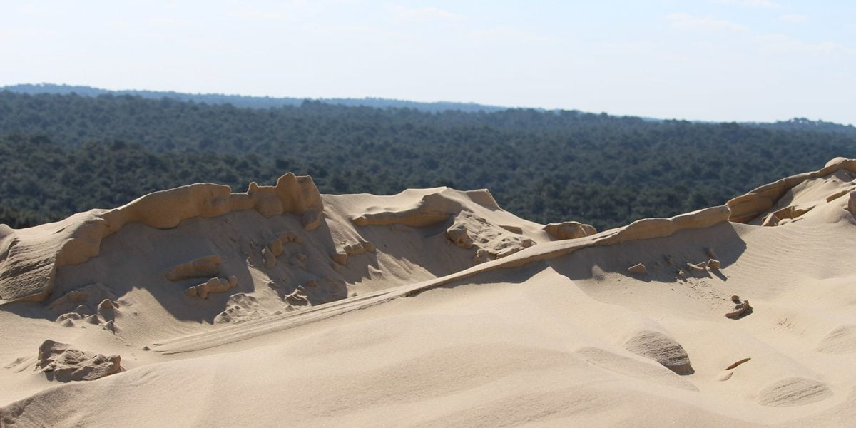 reconstitution header <strong>Training</strong> of the Dune Dune of Pilat