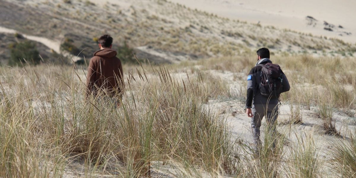 scientific header Scientific follow-ups Dune du Pilat