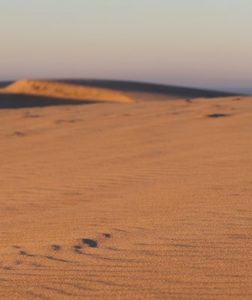 viñeta de noticias actividades de Dune du Pilat