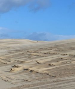 Les activités gratuites - Dune du Pilat