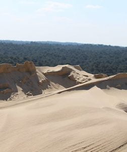 <strong>I discover</strong> the Dune of Pilat - Dune of Pilat