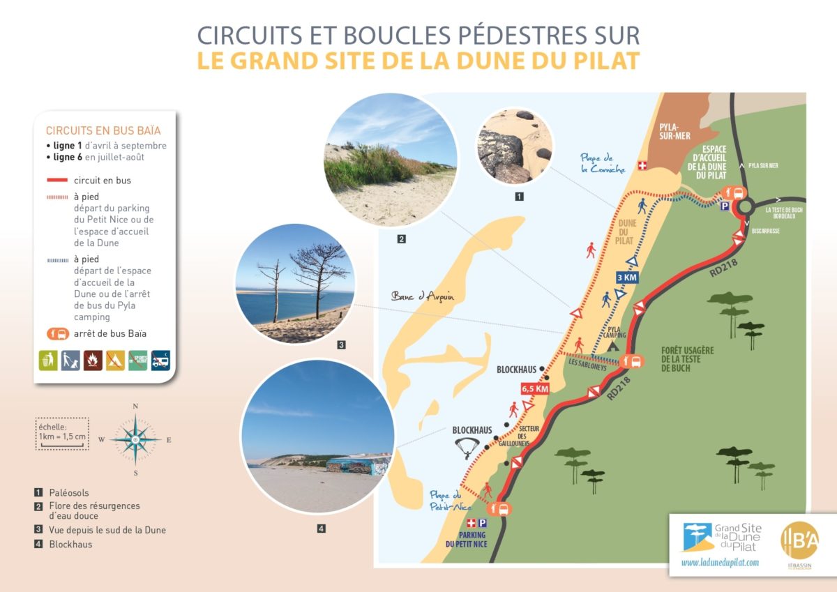 Circuits et boucles pédestres sur la Dune du Pilat page 0001 e1622627211774 Circuits pédestres Dune du Pilat