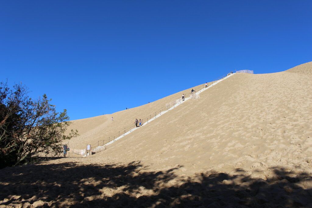 IMG 4557 1 Desmontaje de la escalera Dune du Pilat