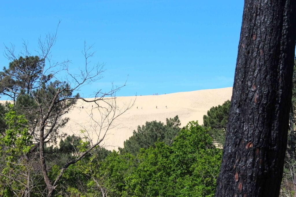 Coming to the Dune in summer: prepare your visit well - Dune du Pilat