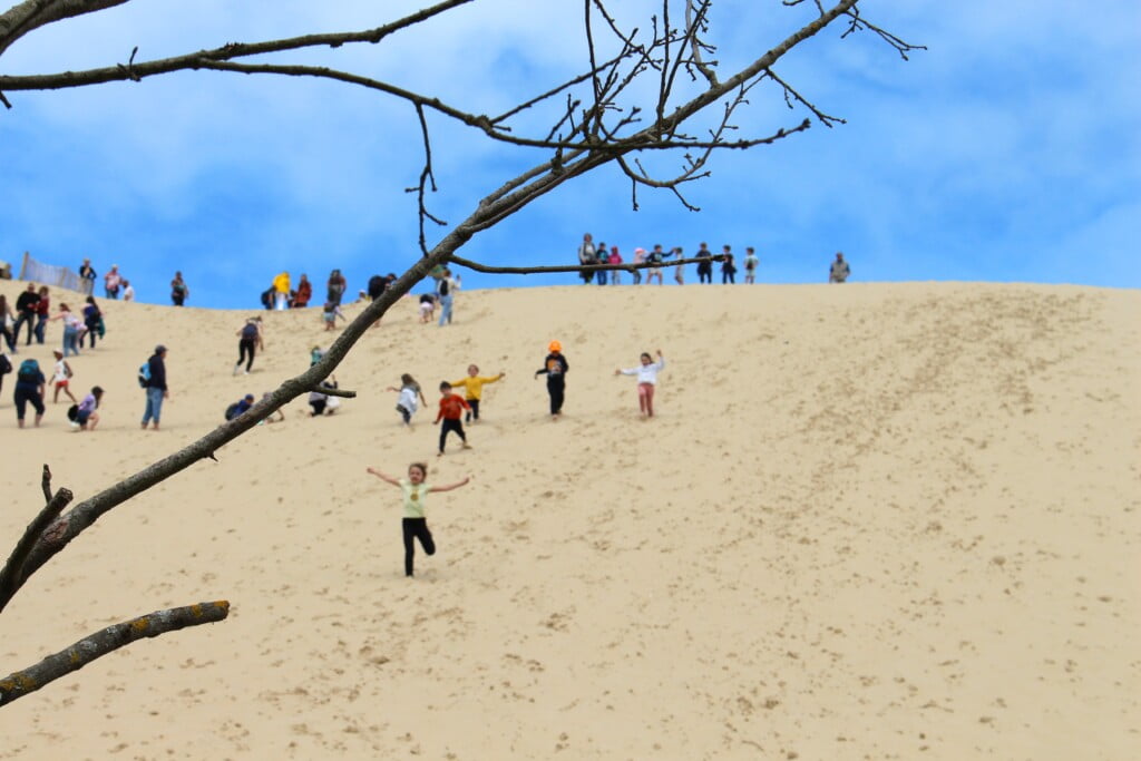<strong>Jobs</strong> and courses - Dune du Pilat
