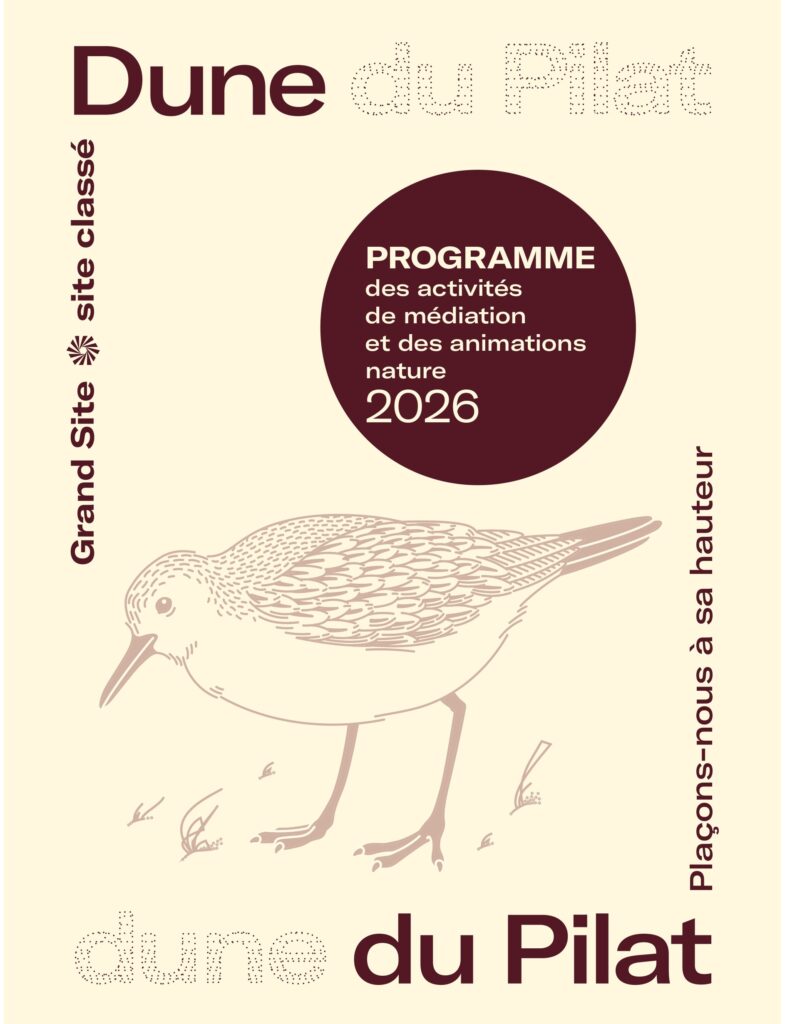 Program of mediation activities and nature events 2026 - Dune du Pilat