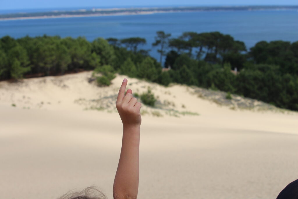 Explorer, s'émerveiller... Nos activités en septembre et en octobre ! - Dune du Pilat