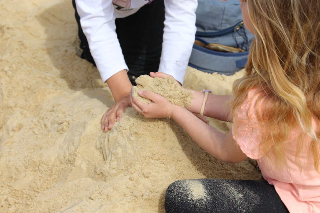 Explore, marvel... Our activities in September and October! - Dune du Pilat