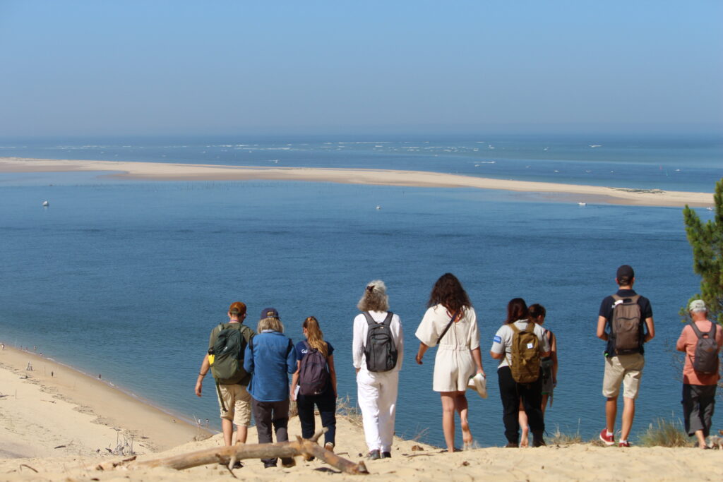 Explorer, s'émerveiller... Nos activités en septembre et en octobre ! - Dune du Pilat