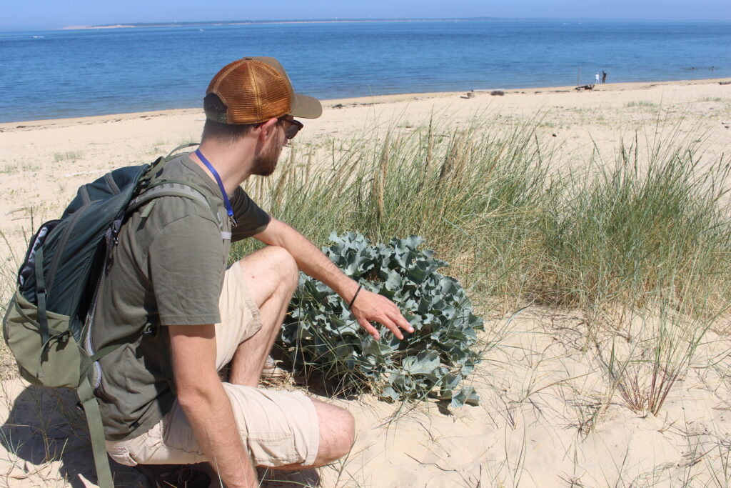 Explorer, s'émerveiller... Nos activités en septembre et en octobre ! - Dune du Pilat