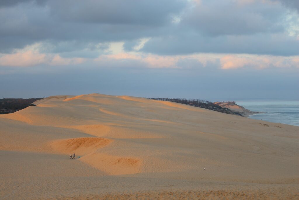 Explorer, s'émerveiller... Nos activités en novembre ! - Dune du Pilat