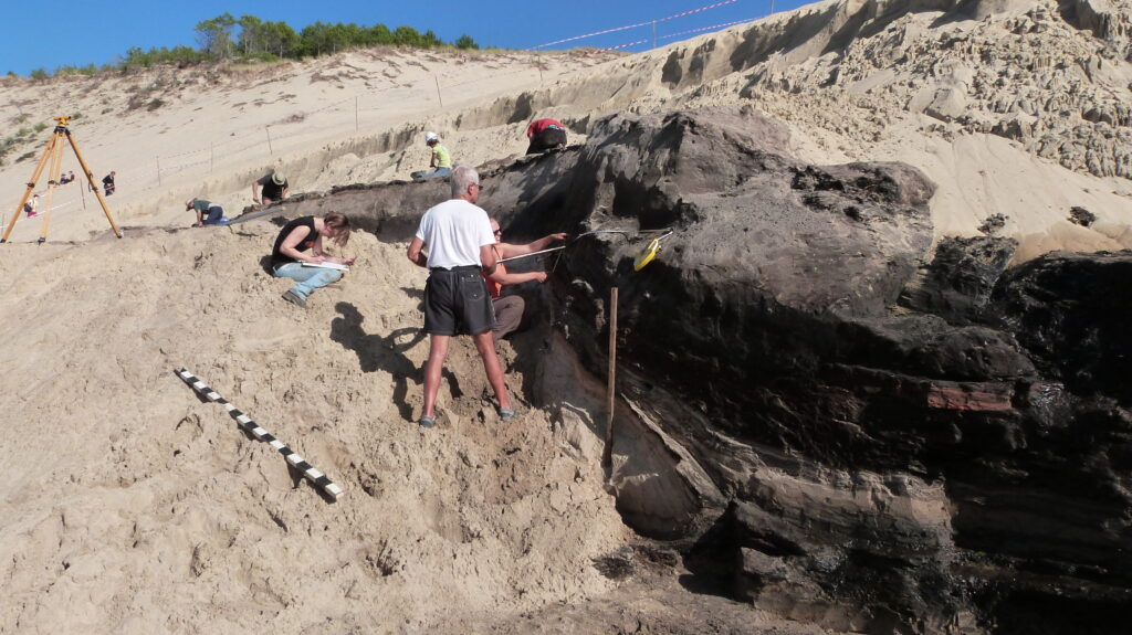 Des fouilles archéologiques sur la Dune - Dune du Pilat