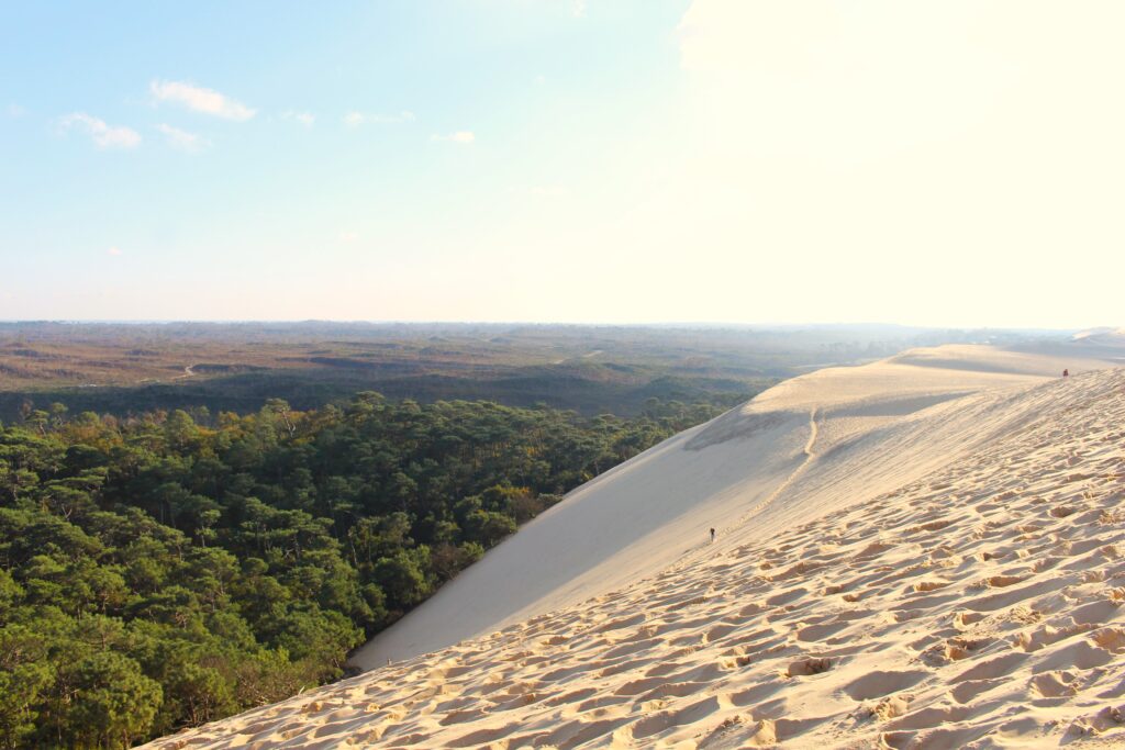 DEPRESSION CAETANO - Dune du Pilat