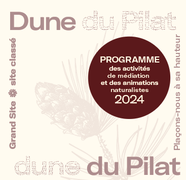 Activités <strong>en famille</strong> - Dune du Pilat