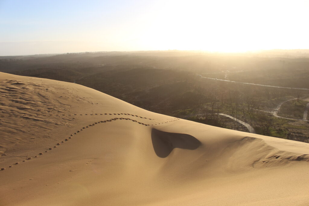 Meilleurs vœux 2025 ! - Dune du Pilat