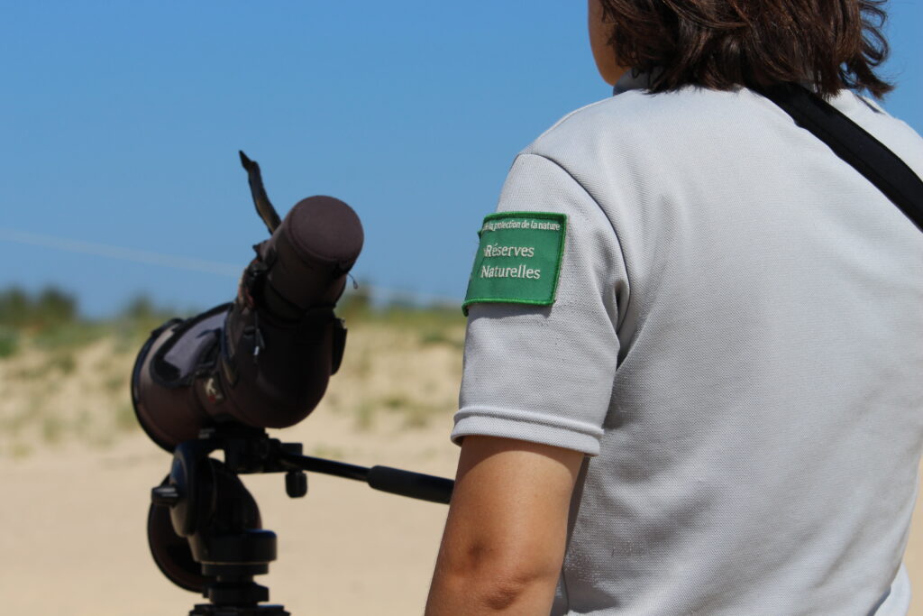 Nos animations nature - Dune du Pilat