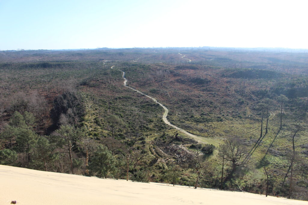 Activités gratuites <strong>en famille</strong> - Dune du Pilat