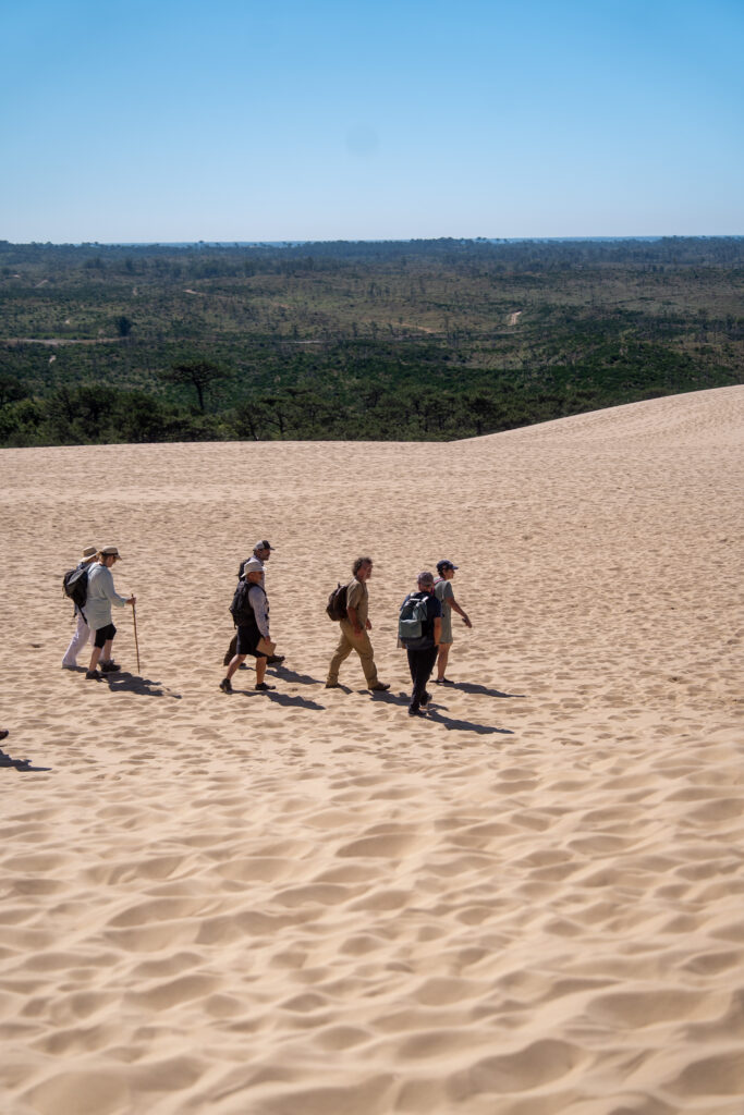 Retour en images sur la balade paysagère - Dune du Pilat