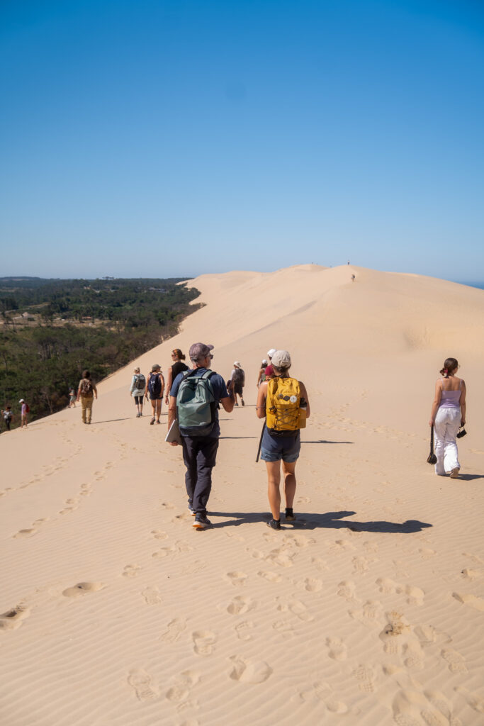 Retour en images sur la balade paysagère - Dune du Pilat