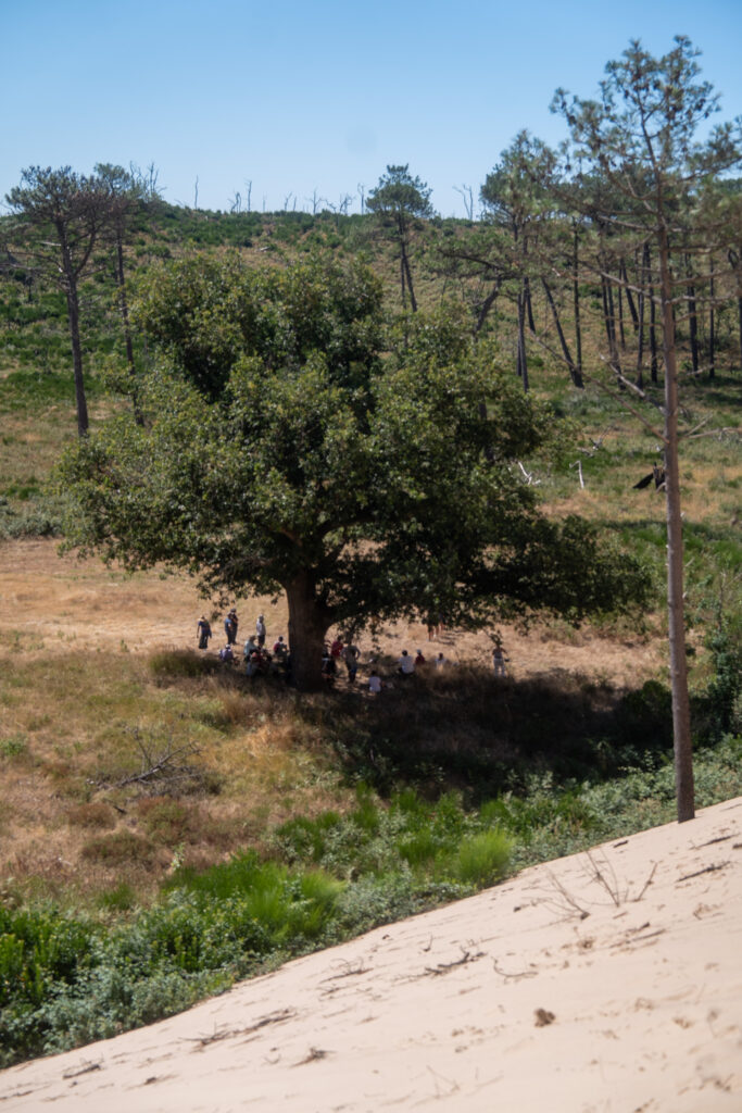 Retour en images sur la balade paysagère - Dune du Pilat