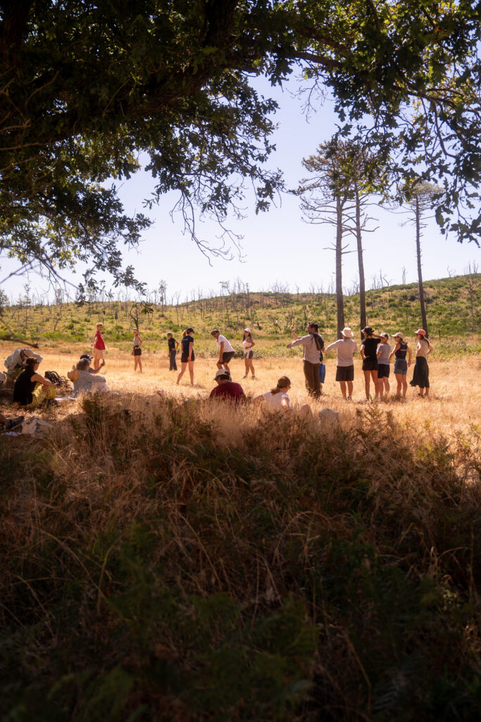 Retour en images sur la balade paysagère - Dune du Pilat