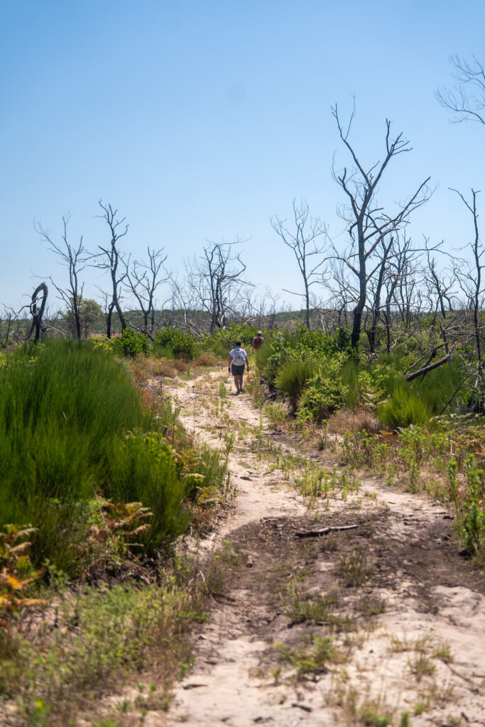 Retour en images sur la balade paysagère - Dune du Pilat