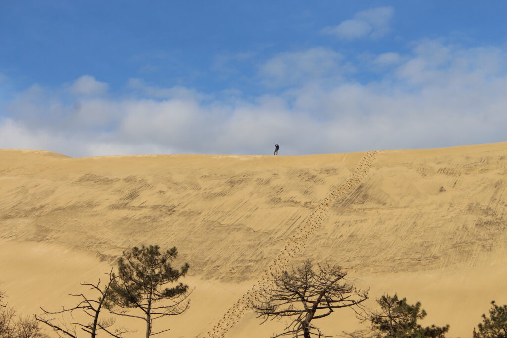 Balade paysagère entre dune et forêt - Dune du Pilat