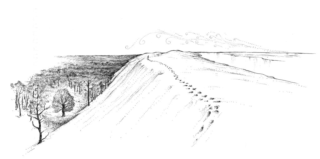 Balade paysagère entre dune et forêt - Dune du Pilat