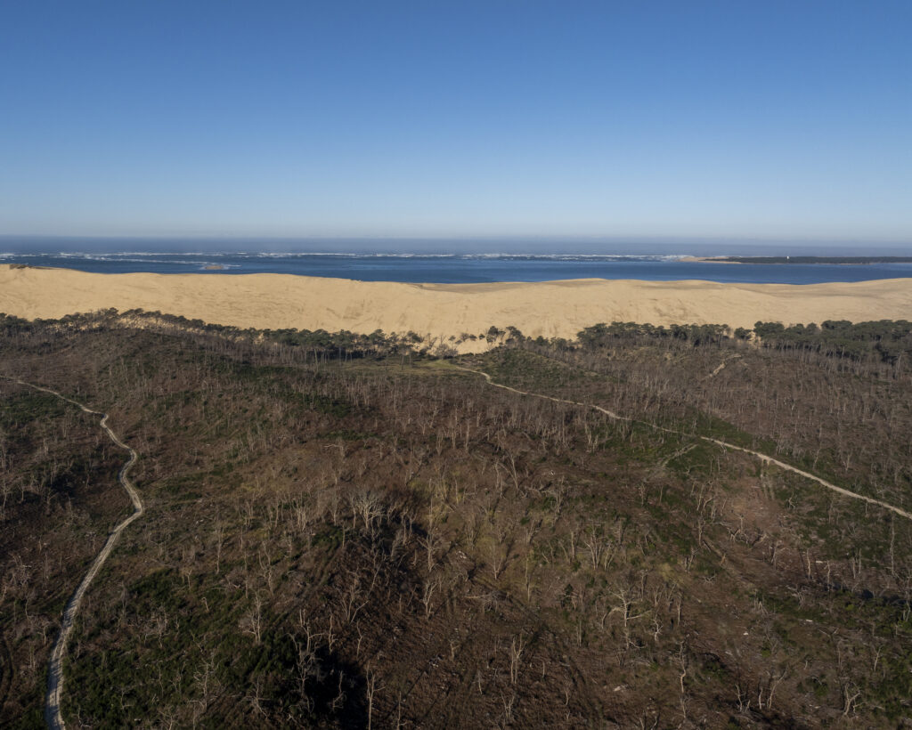 Vigilance orange feux de forêts - Dune du Pilat