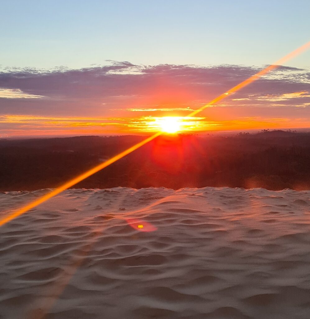 Septembre, un programme d'animations haut en couleurs ! - Dune du Pilat