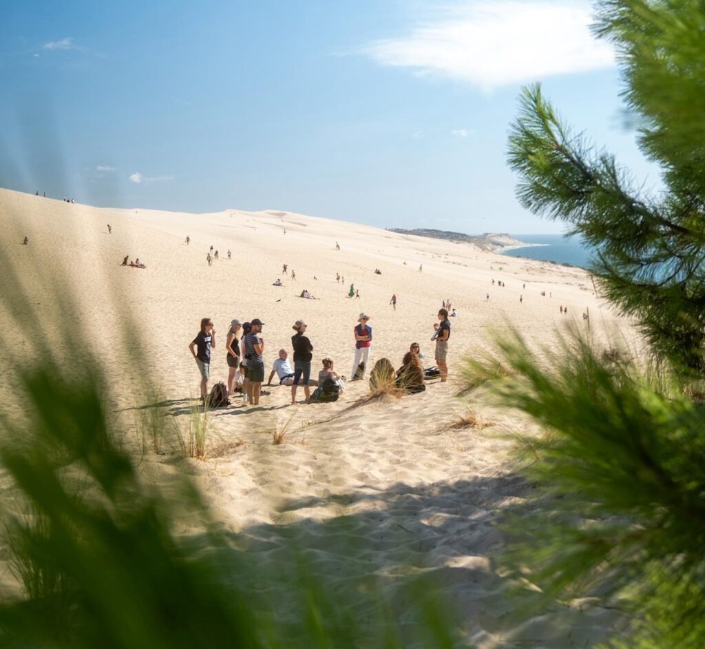 Septembre, un programme d'animations haut en couleurs ! - Dune du Pilat