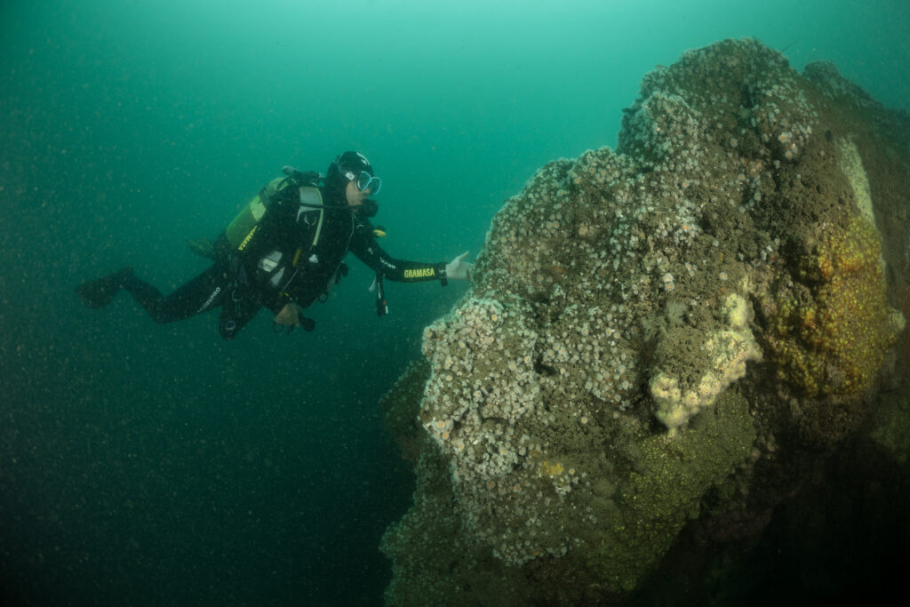 Dive into the heart of the sunken blockhouses - Dune of Pilat