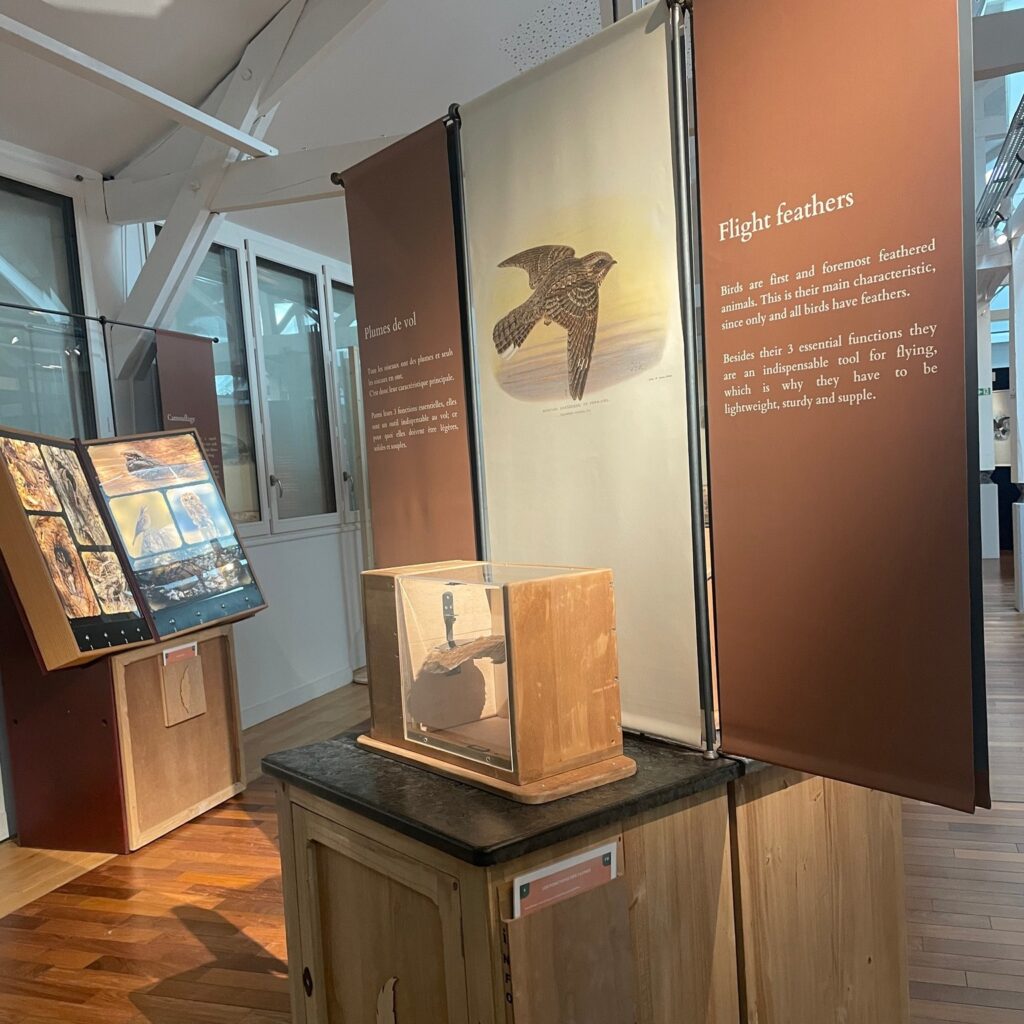 New exhibition at the Domaine de Certes - Dune du Pilat