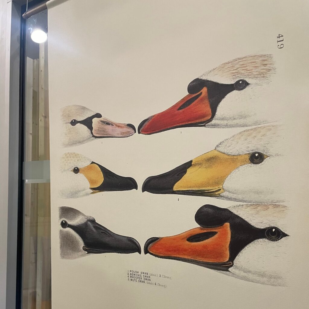 New exhibition at the Domaine de Certes - Dune du Pilat