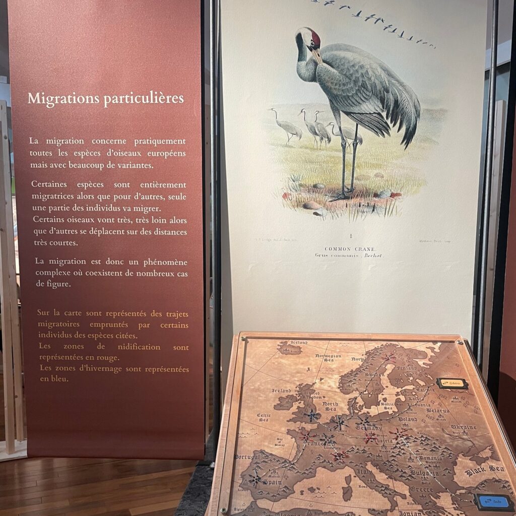 New exhibition at the Domaine de Certes - Dune du Pilat