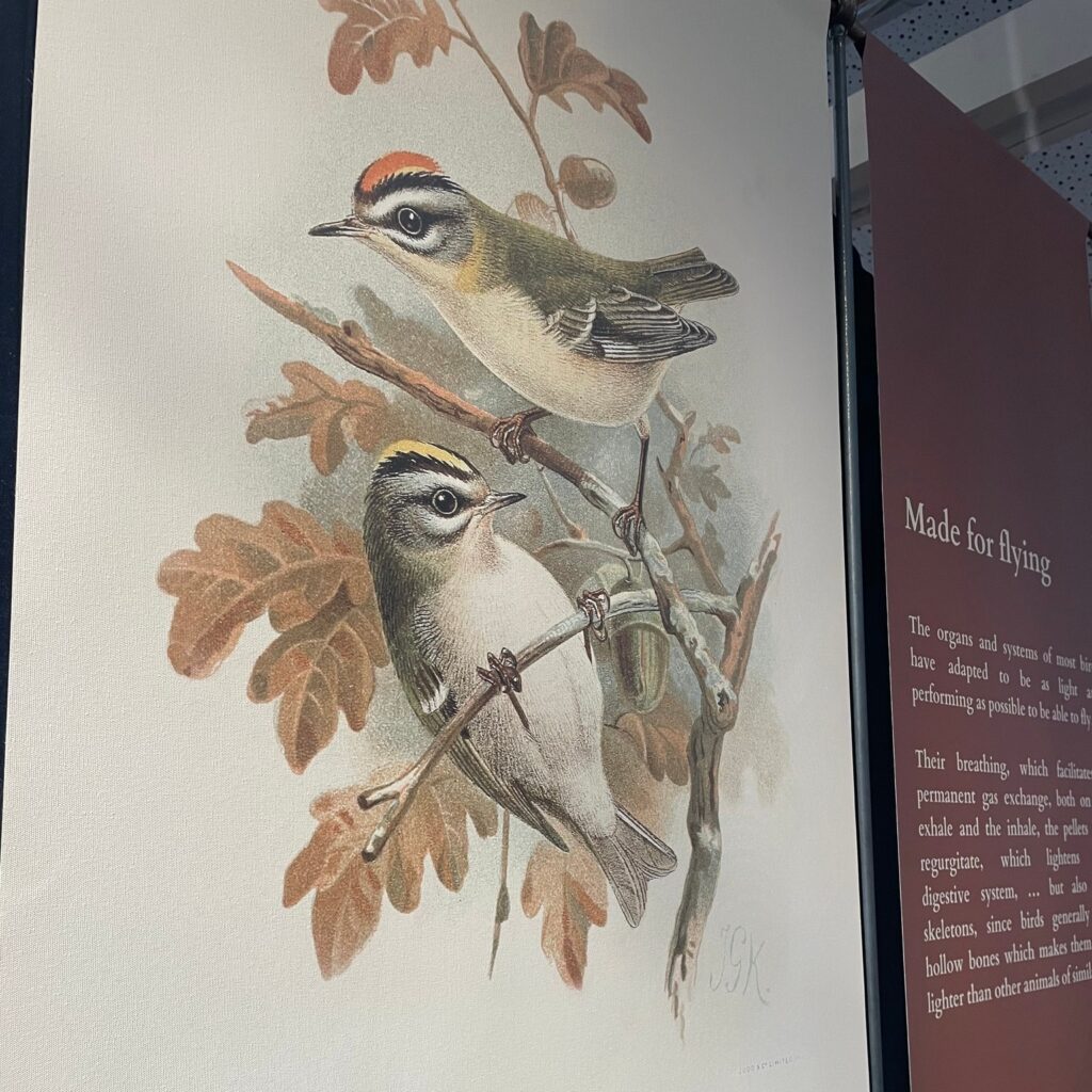 New exhibition at the Domaine de Certes - Dune du Pilat