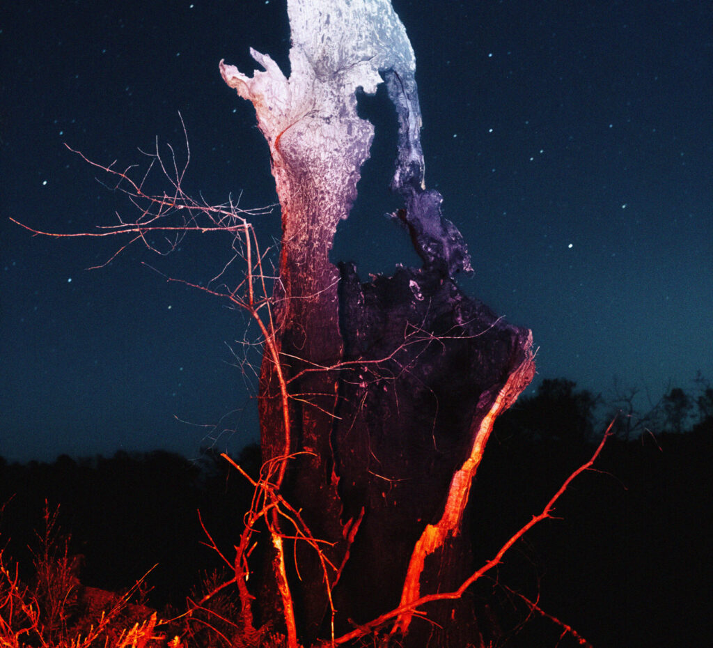 Projection du film 600° - Dune du Pilat