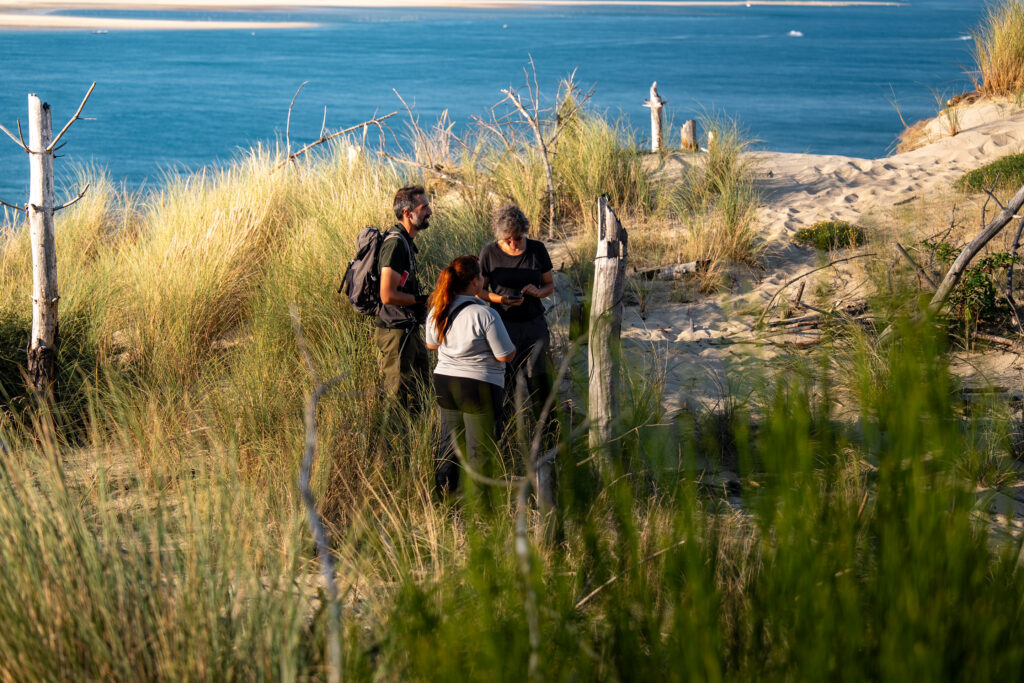 INVENTAIRE ECOLOGIQUE POST-INCENDIE - Dune du Pilat