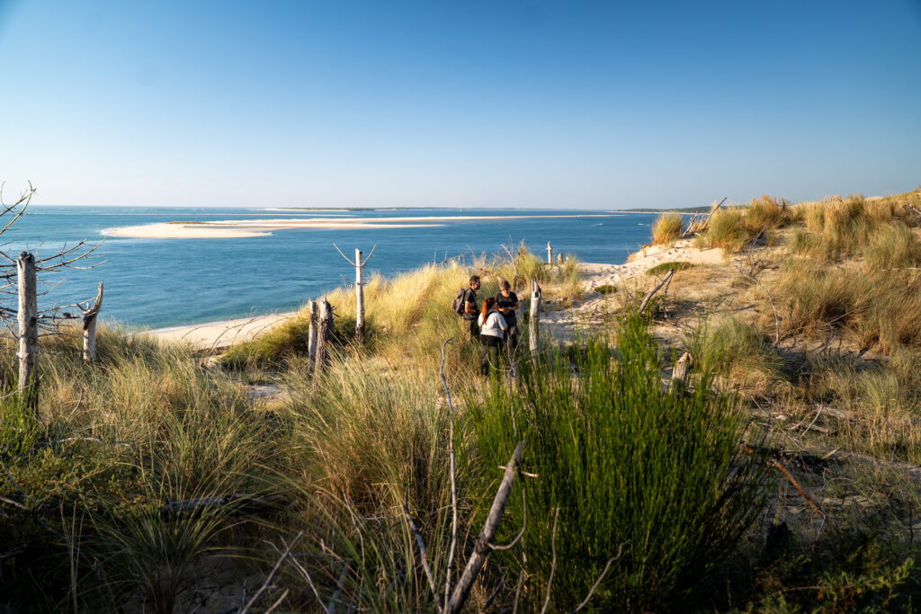 INVENTAIRE ECOLOGIQUE POST-INCENDIE - Dune du Pilat