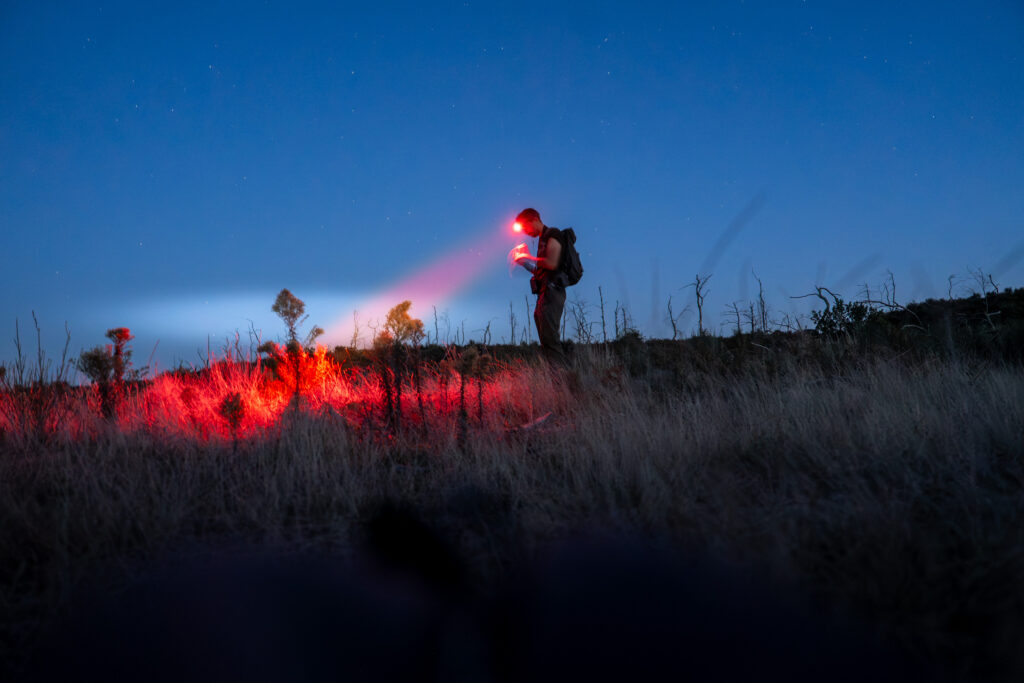 INVENTAIRE ECOLOGIQUE POST-INCENDIE - Dune du Pilat