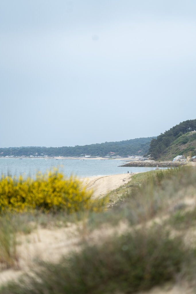 PROSPECTION DU GRAVELOT A COLLIER INTERROMPU - Dune du Pilat