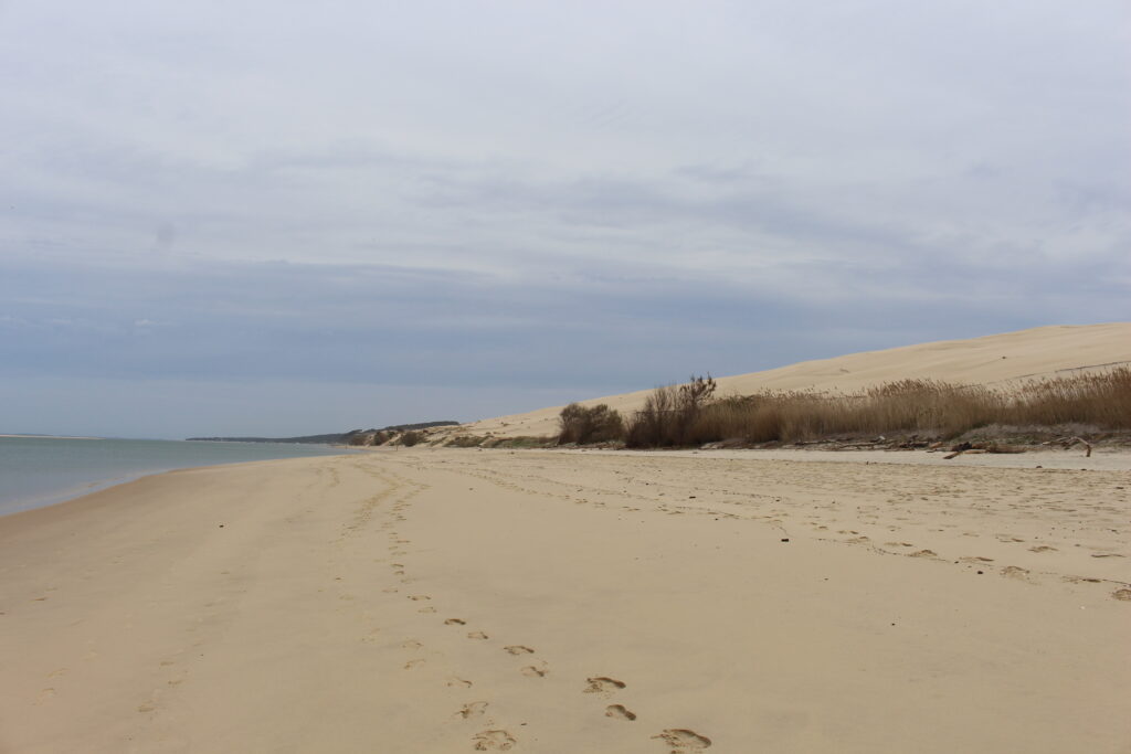 Actividades gratuitas <strong>en familia</strong> - Duna de Pilat