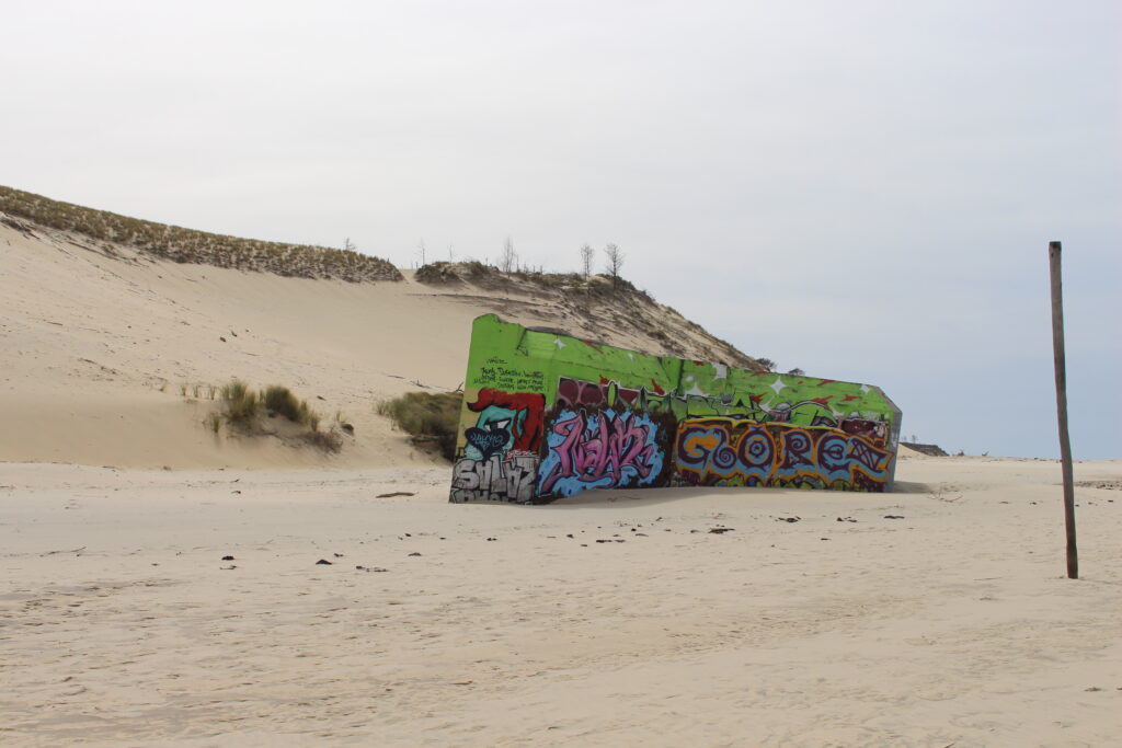 Actividades gratuitas <strong>en familia</strong> - Duna de Pilat