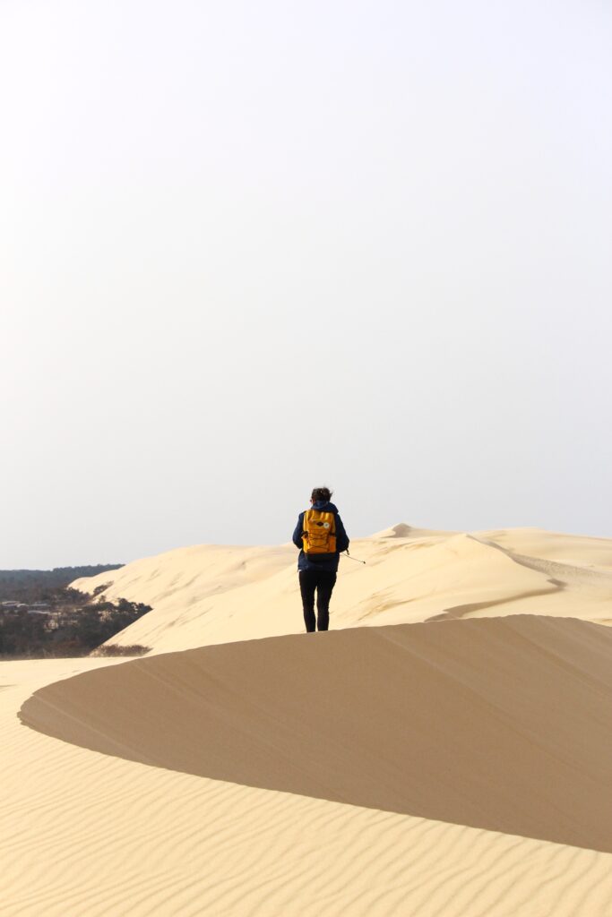 Nouveau programme d'animations ! - Dune du Pilat