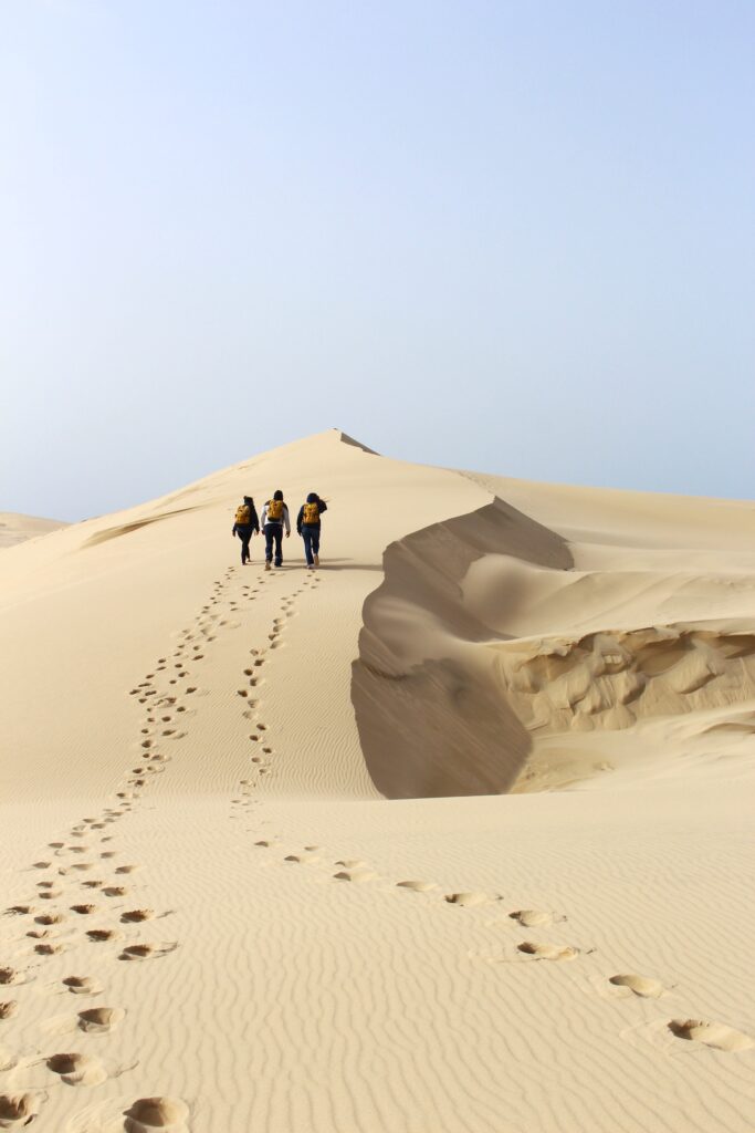 Nouveau programme d'animations ! - Dune du Pilat