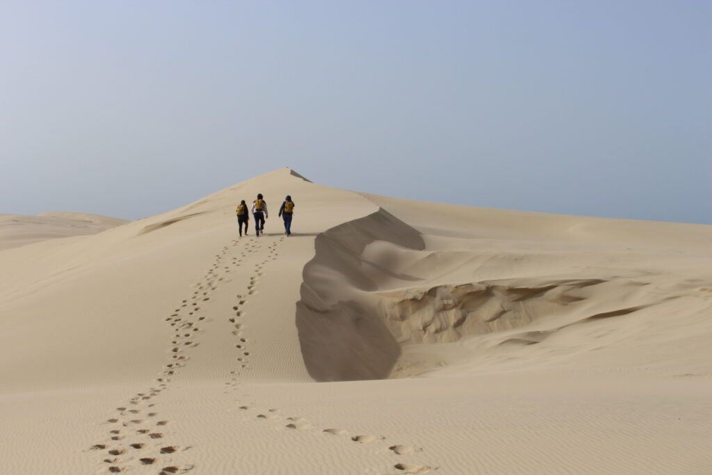 Actividades gratuitas <strong>en familia</strong> - Duna de Pilat