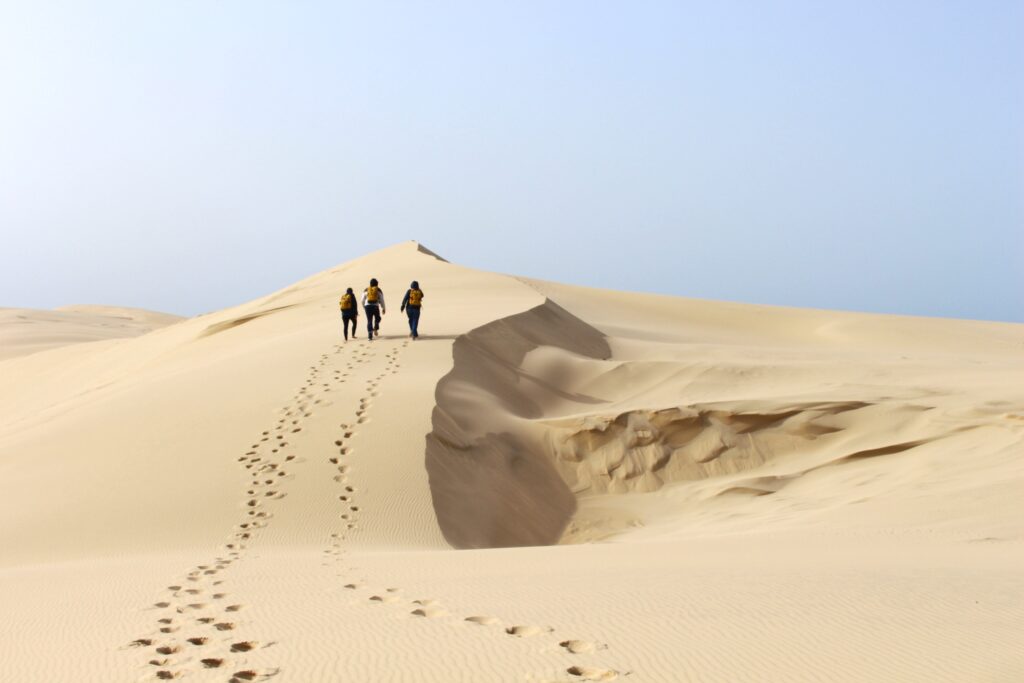 Nouveau programme d'animations ! - Dune du Pilat