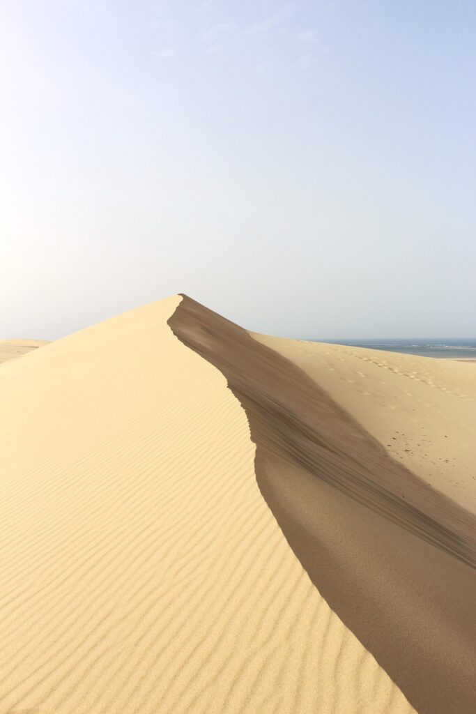 Nouveau programme d'animations ! - Dune du Pilat