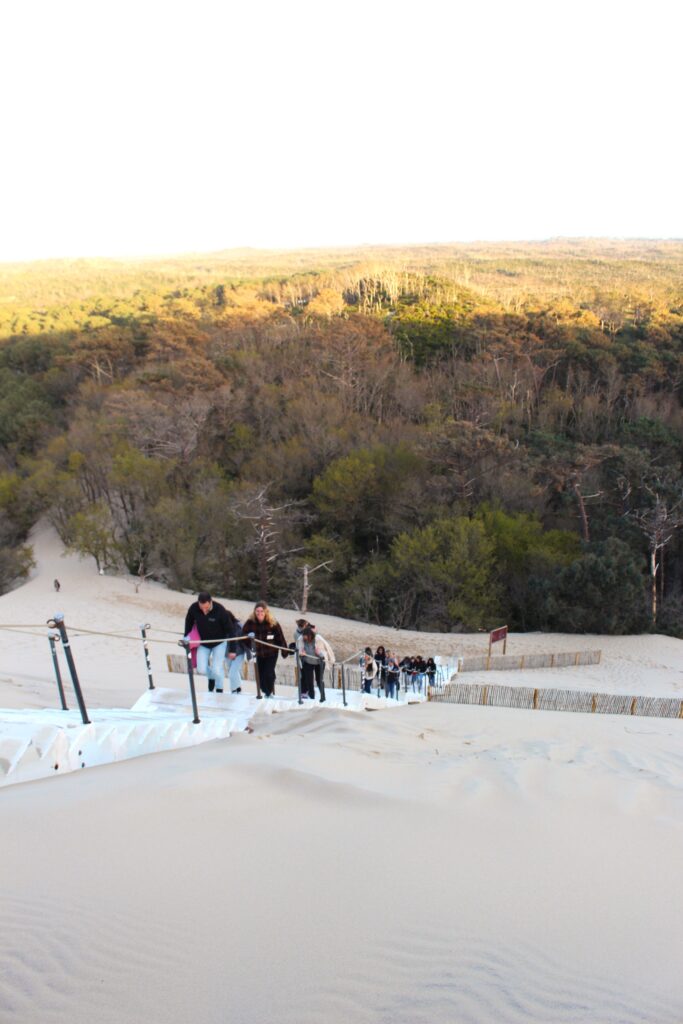L'escalier est installé ! - Dune du Pilat